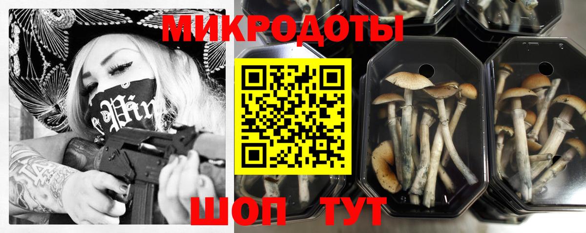 Галлюциногенные грибы MAGIC MUSHROOMS  даркнет сайт  Гудермес  Вход с VPN  Псилоцибиновые грибы Cubensis 